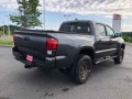2023 Toyota Tacoma Trail Edition Double Cab 5' Bed V6 AT, 230508, Photo 4