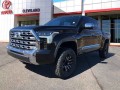 2023 Toyota Tundra 1794 Edition CrewMax 5.5' Bed, 230843, Photo 2