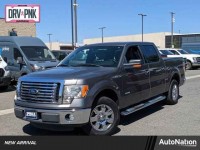 Used, 2011 Ford F-150 XLT, Gray, BKE02619-1