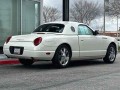 2002 Ford Thunderbird with Hardtop Deluxe, 4P1496, Photo 6