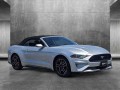 2019 Ford Mustang EcoBoost Premium, K5171934, Photo 3