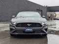 2019 Ford Mustang EcoBoost, K5176719, Photo 2