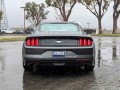 2019 Ford Mustang EcoBoost, K5176719, Photo 8