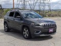 2019 Jeep Cherokee Limited FWD, KD119433, Photo 3