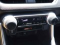 2019 Toyota RAV4 LE FWD, 00561560, Photo 13
