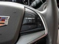 2020 Cadillac Xt5 FWD 4-door Premium Luxury, 124000, Photo 46