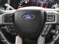 2020 Ford F-150 Raptor 4WD SuperCrew 5.5' Box, 2H0018, Photo 18