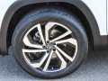 2021 Volkswagen Atlas 3.6L V6 SEL Premium, MC503575T, Photo 10