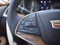 2022 Cadillac Xt5 FWD 4-door Premium Luxury, 2221059, Photo 33