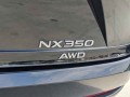 2022 Lexus NX NX 350 F SPORT Handling AWD, NC006841, Photo 12