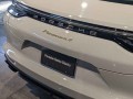2022 Porsche Panamera 4 E-Hybrid Platinum Edition AWD, TRSCP1386, Photo 37