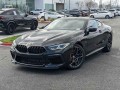 2023 BMW M8 Competition Coupe, PCL89790, Photo 2