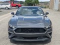 2023 Ford Mustang EcoBoost, P5107732, Photo 6
