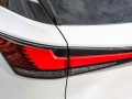 2023 Lexus RX Premium Plus, PC012785, Photo 8