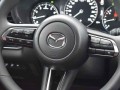 2024 Mazda Cx-30 2.5 S Carbon Edition AWD, NM5739, Photo 15