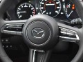 2024 Mazda Cx-50 2.5 Turbo Premium Plus Package AWD, RN186074, Photo 15