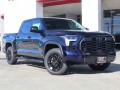 2024 Toyota Tundra 4WD Limited CrewMax 5.5' Bed, RX149787, Photo 19