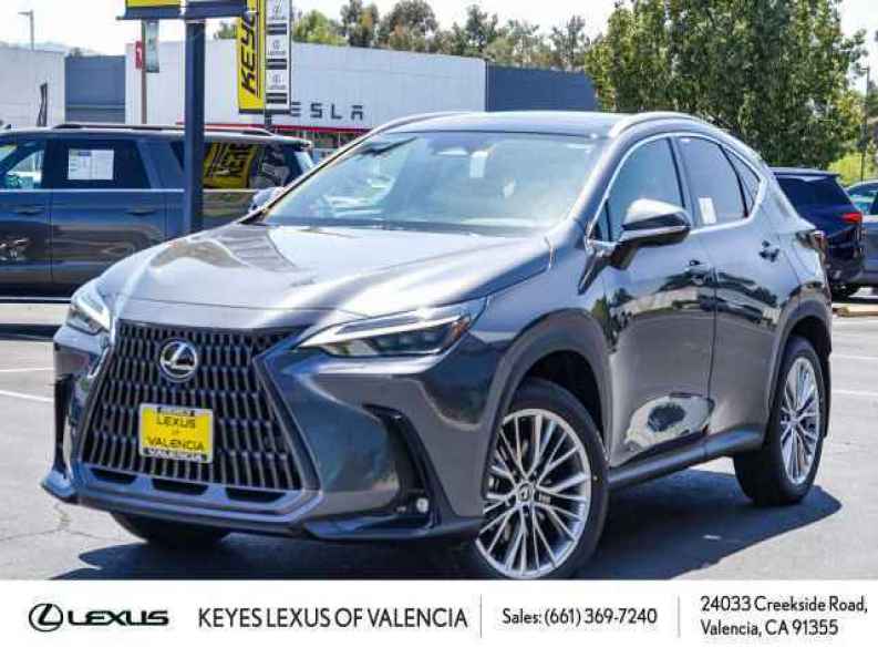 2025 Lexus NX 350h 350h Luxury AWD's photo