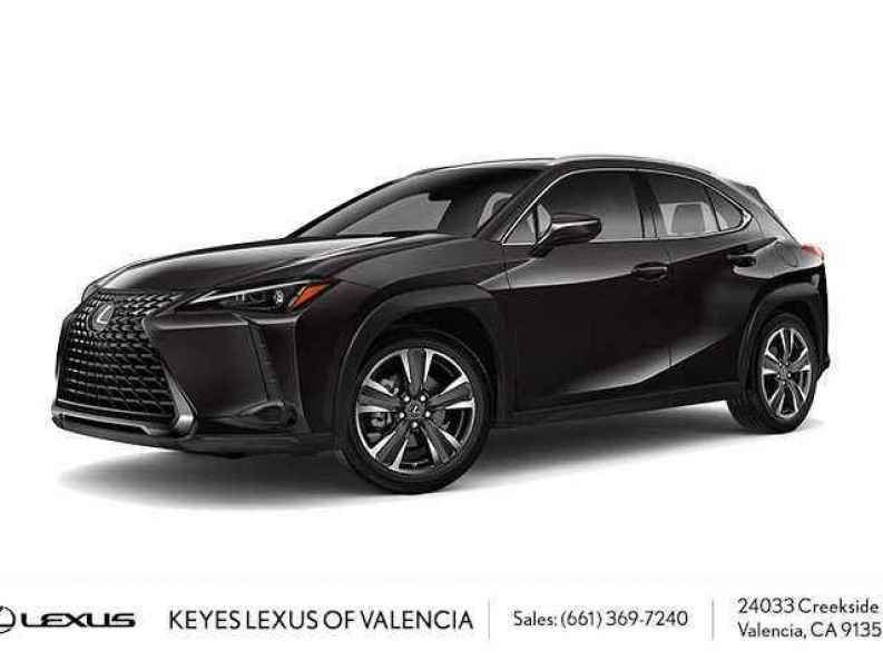 2025 Lexus UX 300h 300h's photo