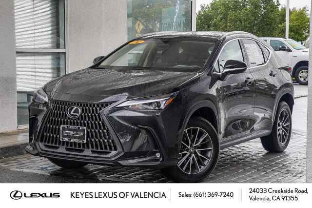 2024 Lexus RZ RZ 300e Premium FWD w/18" wheels, RA001217T, Photo 1