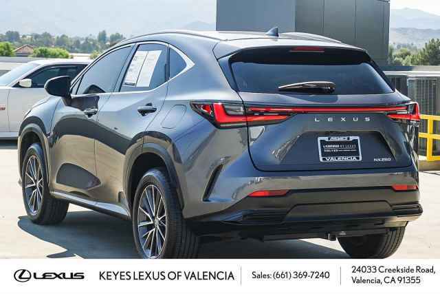 2024 Lexus NX NX 350 Luxury AWD, RC055755R, Photo 1