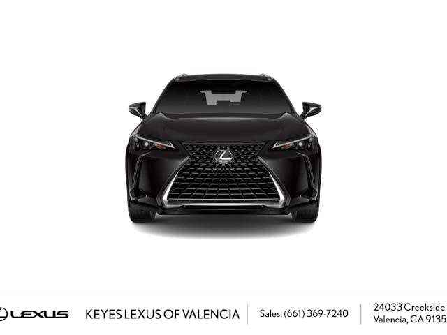 2025 Lexus UX UX 300h FWD, S127DJ59, Photo 1
